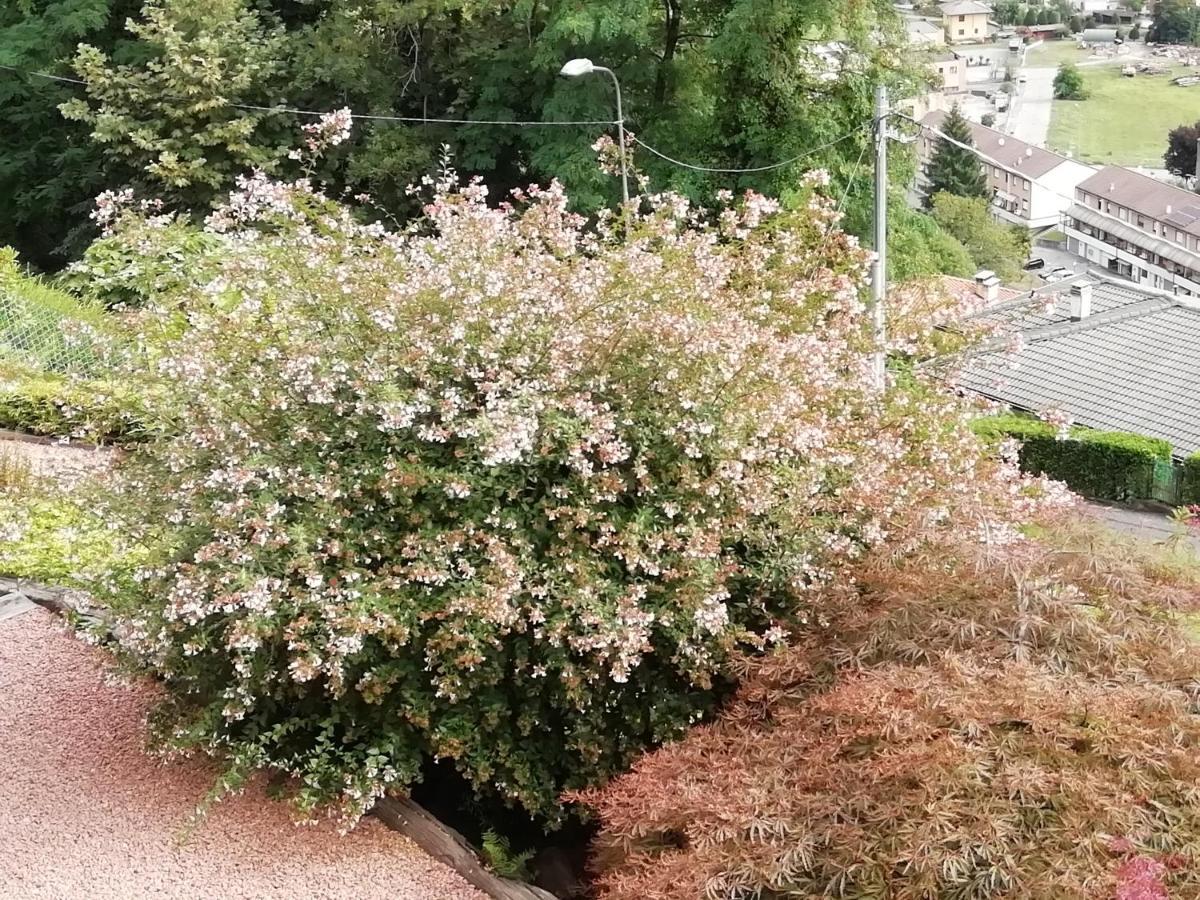 Villa Banfi Lavena Ponte Tresa Dış mekan fotoğraf