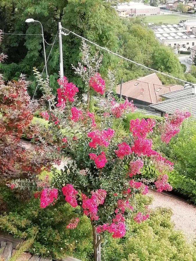 Villa Banfi Lavena Ponte Tresa Dış mekan fotoğraf