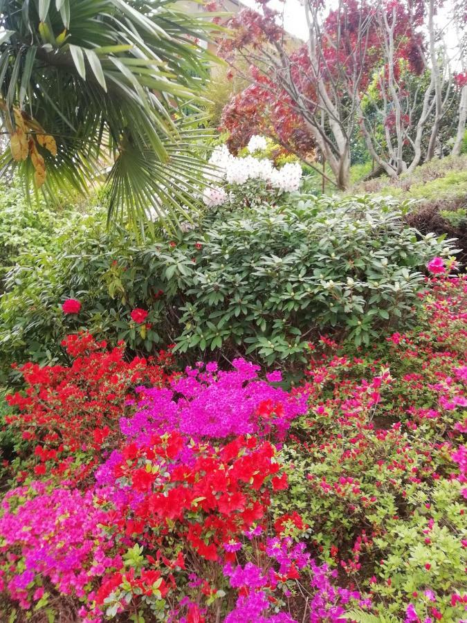 Villa Banfi Lavena Ponte Tresa Dış mekan fotoğraf