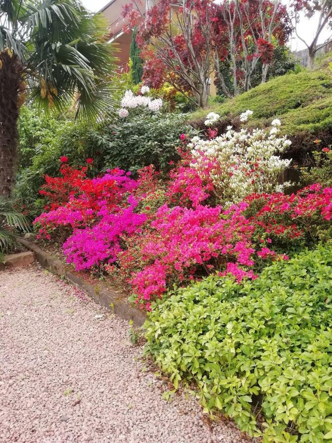 Villa Banfi Lavena Ponte Tresa Dış mekan fotoğraf